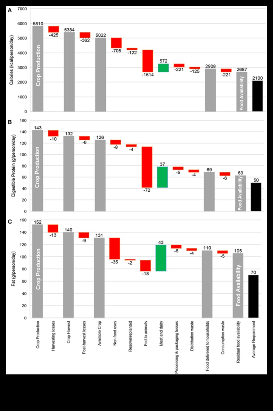 Dincolo de calorii: înțelegerea adevăratei valori nutriționale