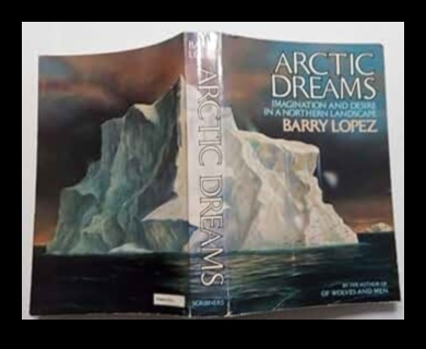 Vise arctice: frumusețea tăcută a peisajelor polare