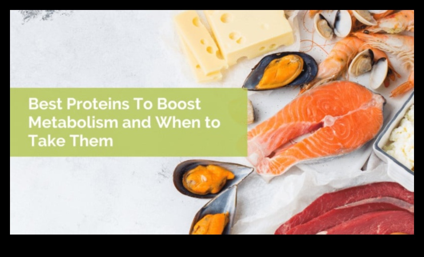 Impactul dietelor bogate în proteine ​​asupra metabolismului