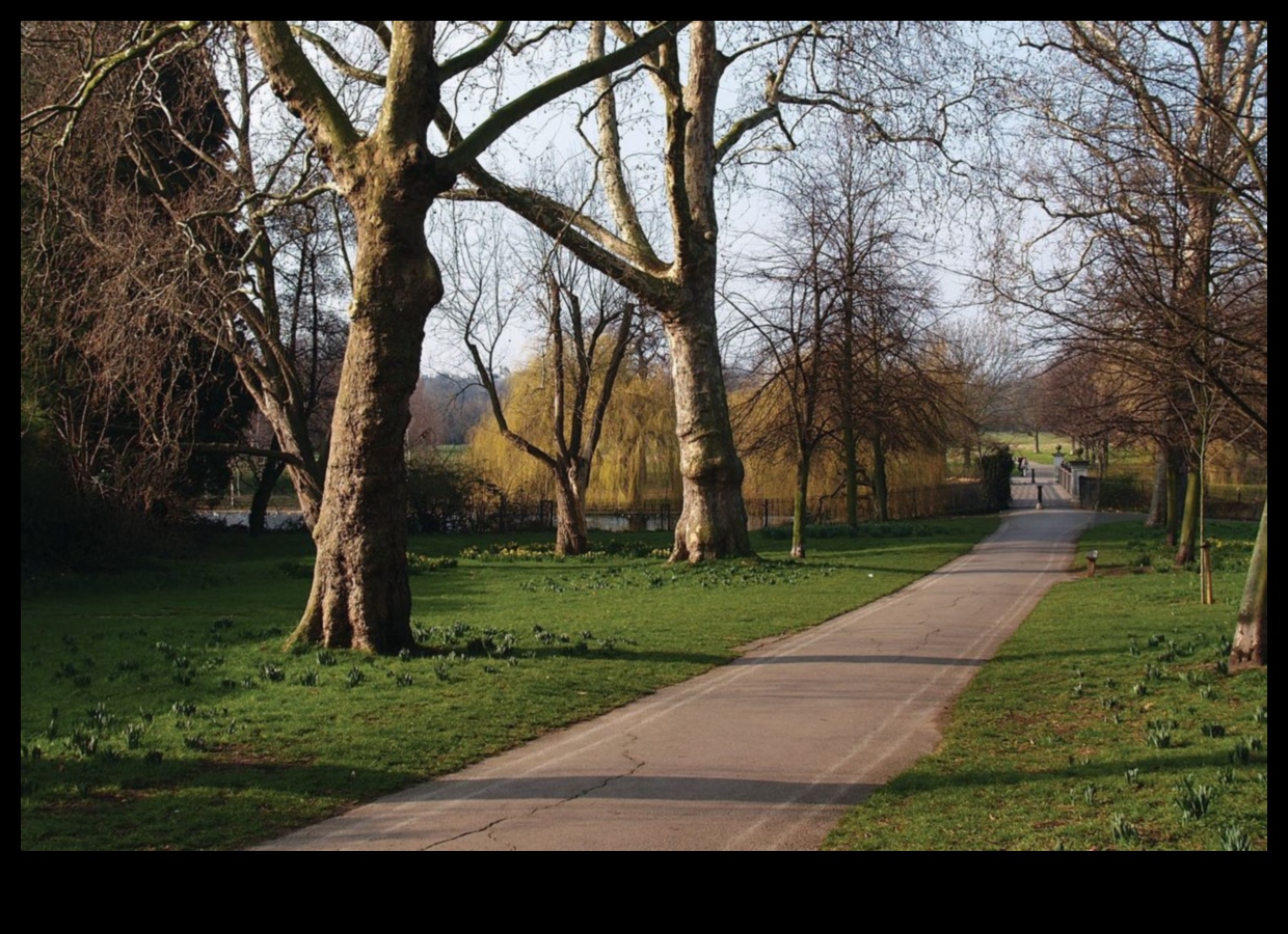 Cum percep diferitele culturi frumusețea peisajelor?