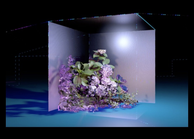 Pixeli și pasiune: crearea strălucirii artistice în era digitală