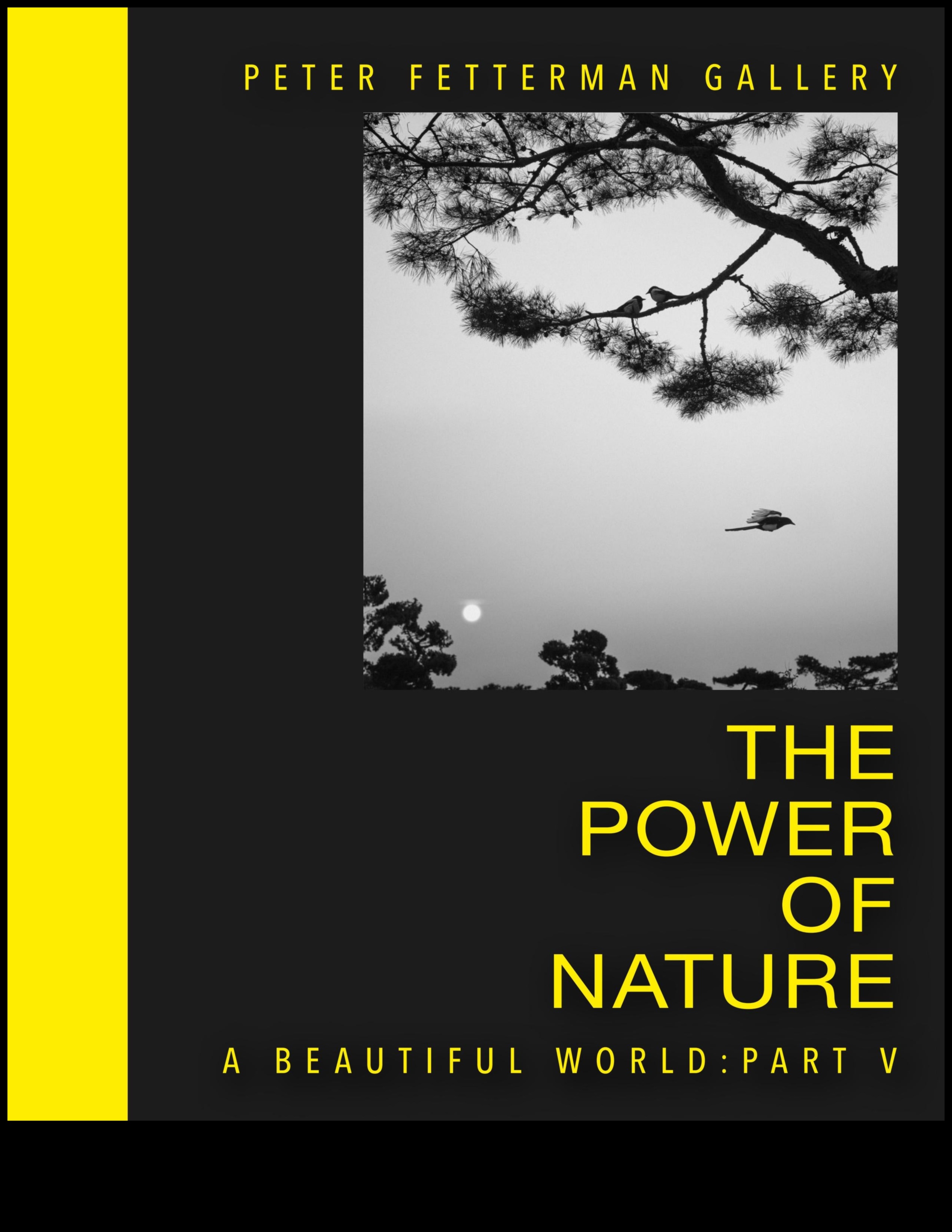 Vederi eterne: peisaje atemporale în fotografie