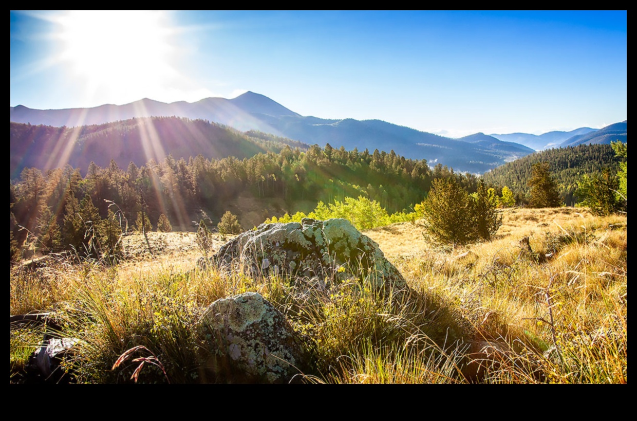 Vederi eterne: peisaje atemporale în fotografie