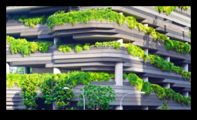 Flora urbană: plante și flori în parcurile orașului