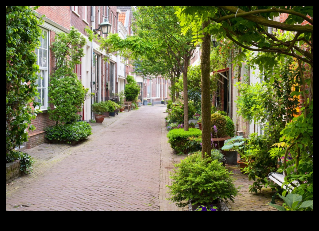 Flora urbană: plante și flori în parcurile orașului