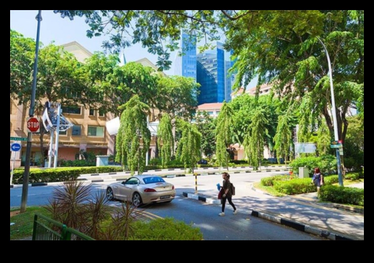 Flora urbană: plante și flori în parcurile orașului