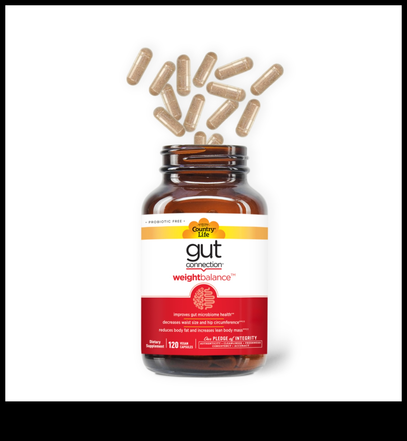 Influența sănătății intestinale asupra dietelor de creștere în greutate