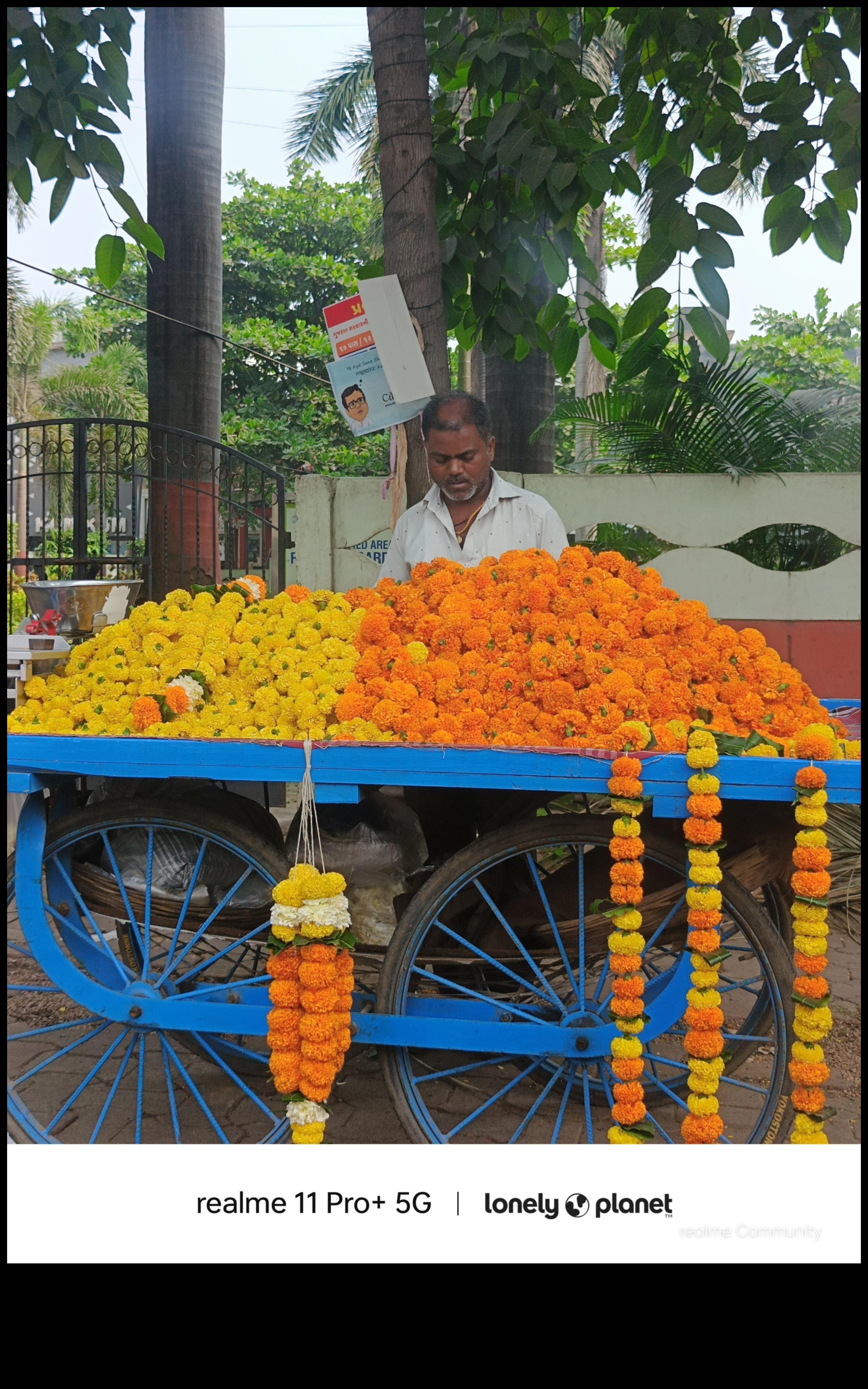 Cronici sincere: momente autentice în fotografia oamenilor