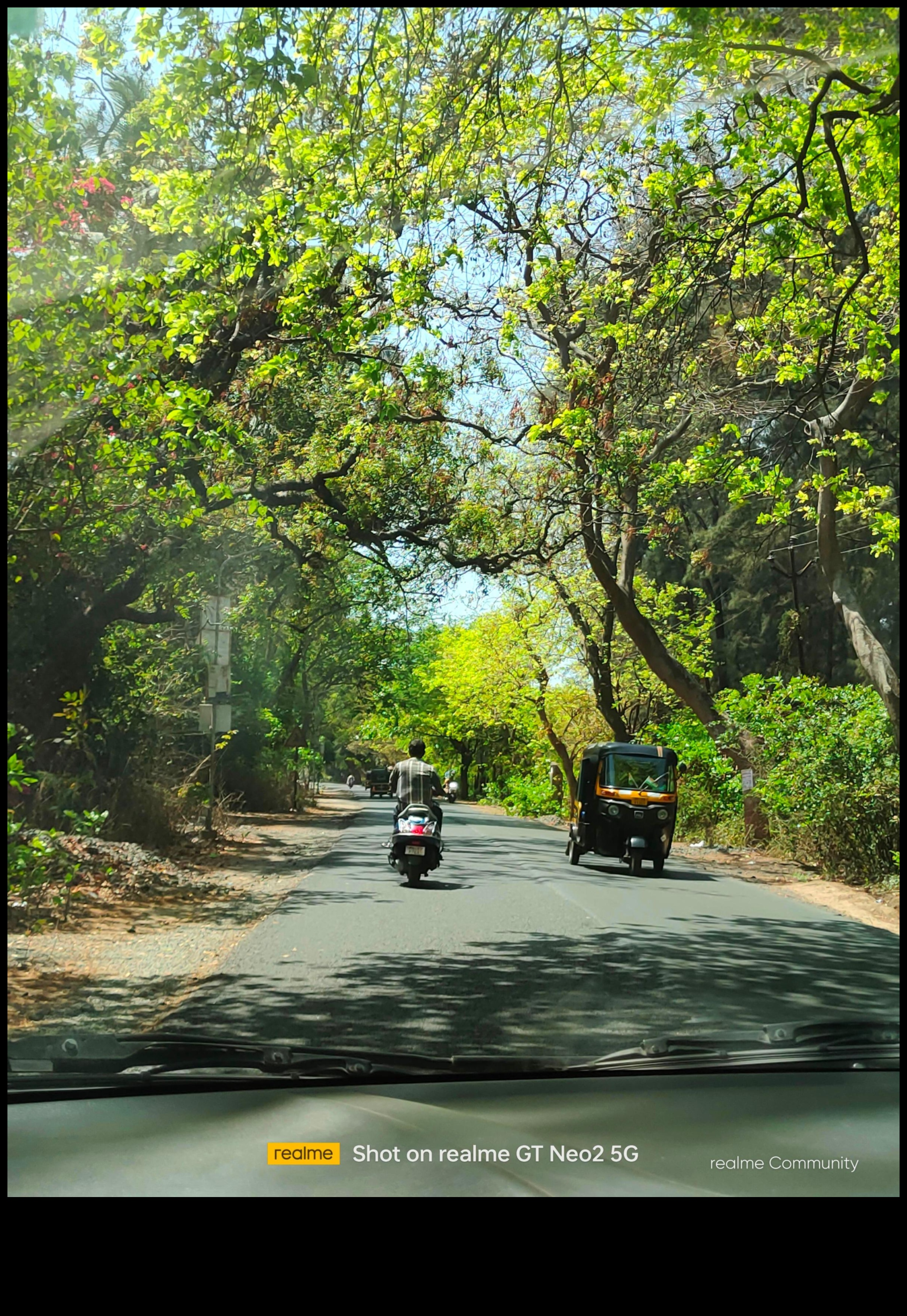 Cronici sincere: momente autentice în fotografia oamenilor