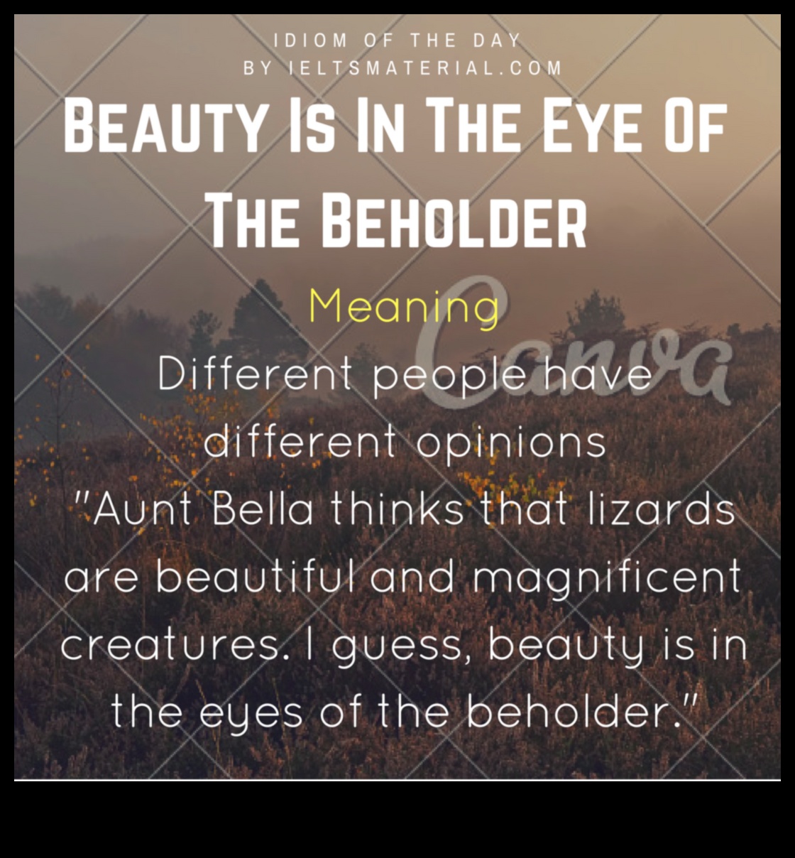 Eleganța Pământului: Descoperirea frumuseții grațioase și atemporale în peisaje