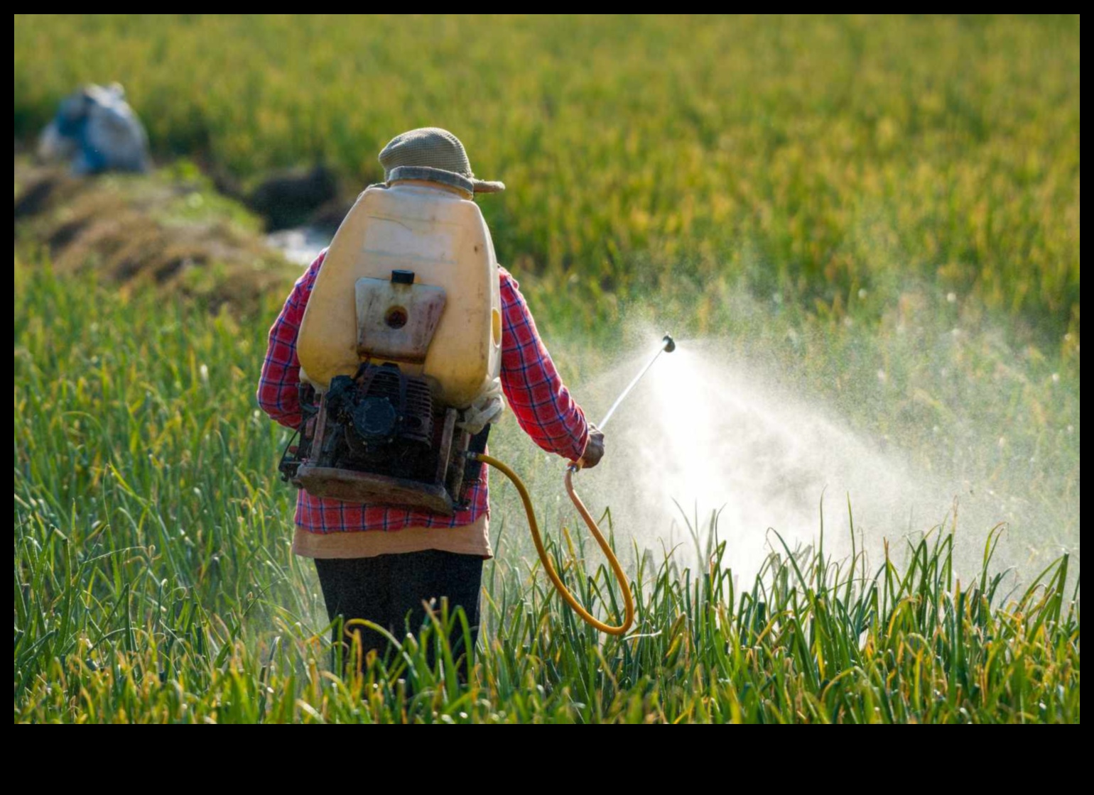 Evadari ecologice: revoluția verde în călătoriile hibride