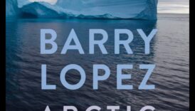 Vise arctice: frumusețea tăcută a peisajelor polare