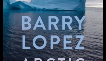 Vise arctice: frumusețea tăcută a peisajelor polare