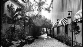 Cronici sincere: momente autentice în fotografia oamenilor