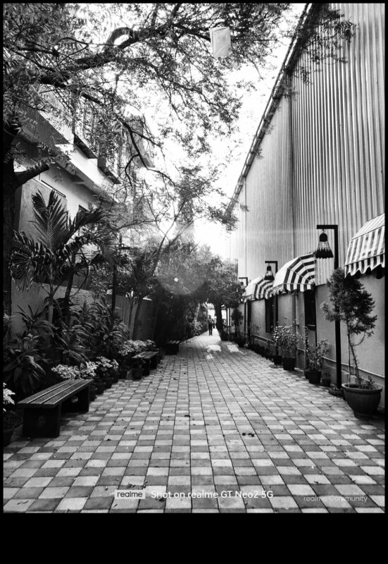 Cronici sincere: momente autentice în fotografia oamenilor