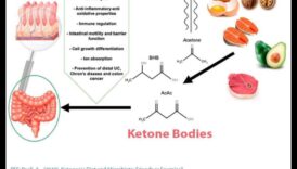 Keto și inflamație: o perspectivă holistică