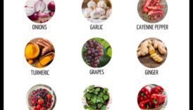 Legătura dintre paleo și alergiile sezoniere