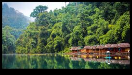 Evadari ecologice: revoluția verde în călătoriile hibride