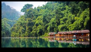 Evadari ecologice: revoluția verde în călătoriile hibride