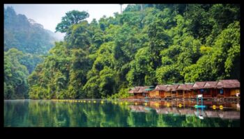 Evadari ecologice: revoluția verde în călătoriile hibride