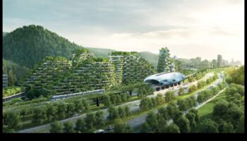 Flora urbană: plante și flori în parcurile orașului