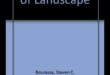 Cum percep diferitele culturi frumusețea peisajelor?