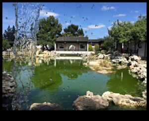 Green Sanctuaries II: redescoperirea grădinilor și a paradisurilor verzi