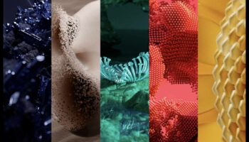 Tendințe de culoare a părului 2025: O privire în viitorul culorii