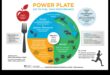 The Power Plate: Plan pentru succes în consilierea nutrițională