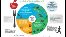 The Power Plate: Plan pentru succes în consilierea nutrițională